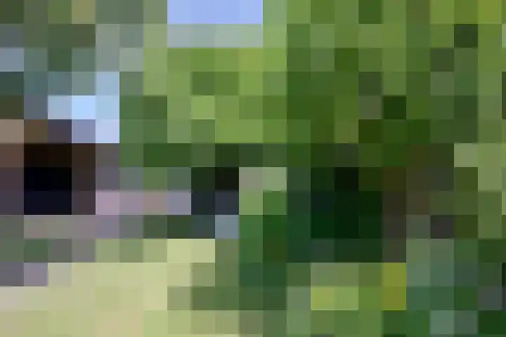 Achterhoven 20 Zutphen thumbnail 53