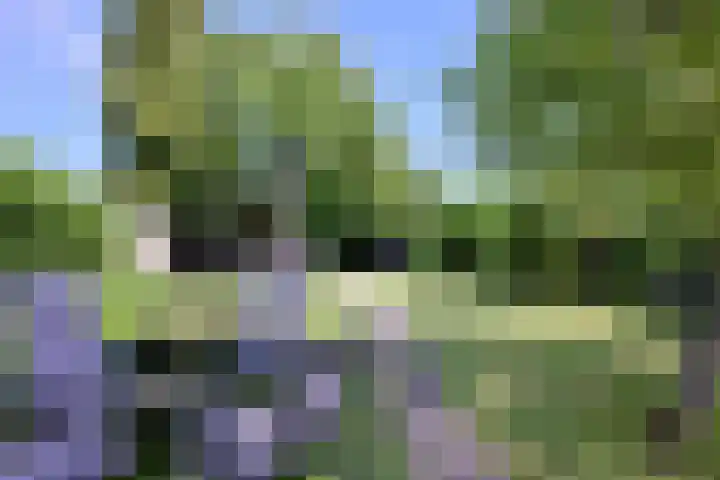 Achterhoven 20 Zutphen thumbnail 54