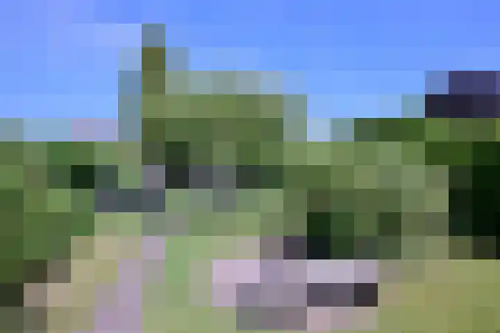 Achterhoven 20 Zutphen thumbnail 55