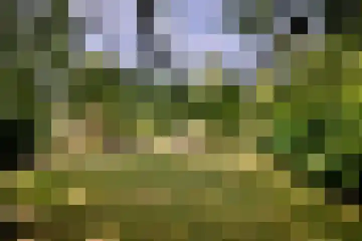 Achterhoven 20 Zutphen thumbnail 57
