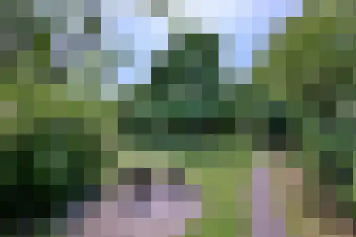 Achterhoven 20 Zutphen thumbnail 60