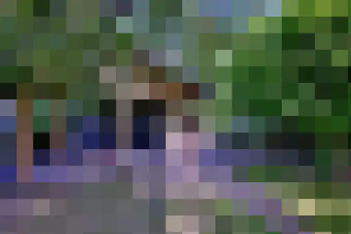 Achterhoven 20 Zutphen thumbnail 61