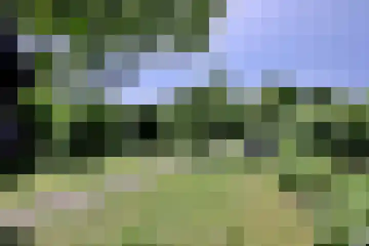 Achterhoven 20 Zutphen thumbnail 63
