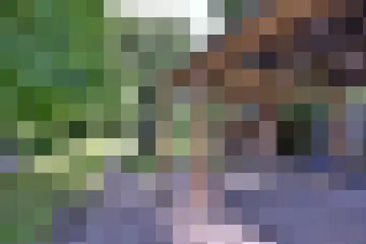Achterhoven 20 Zutphen thumbnail 64