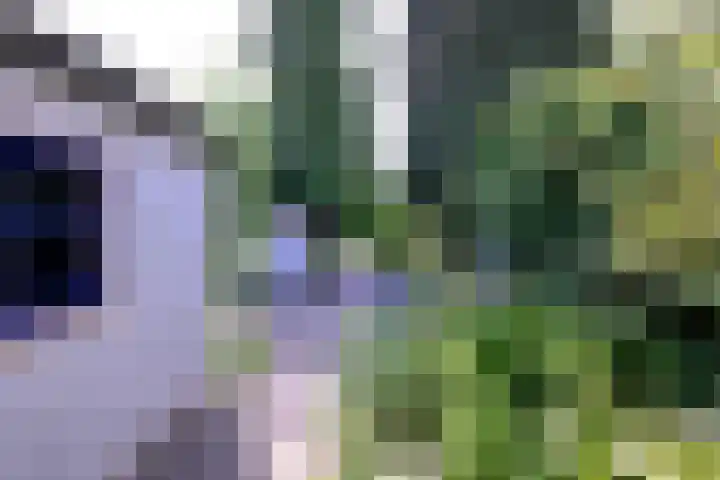 Achterhoven 20 Zutphen thumbnail 66