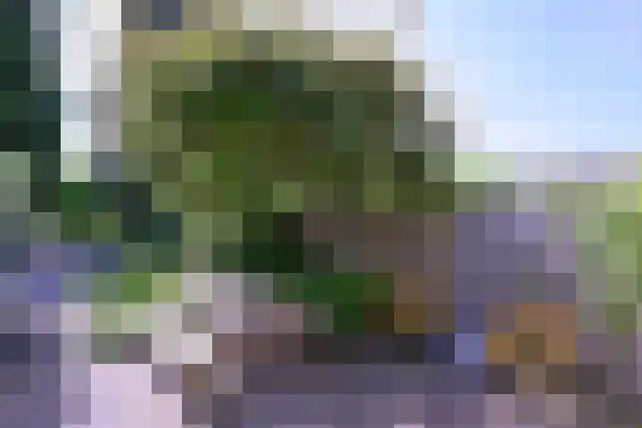 Achterhoven 20 Zutphen thumbnail 69
