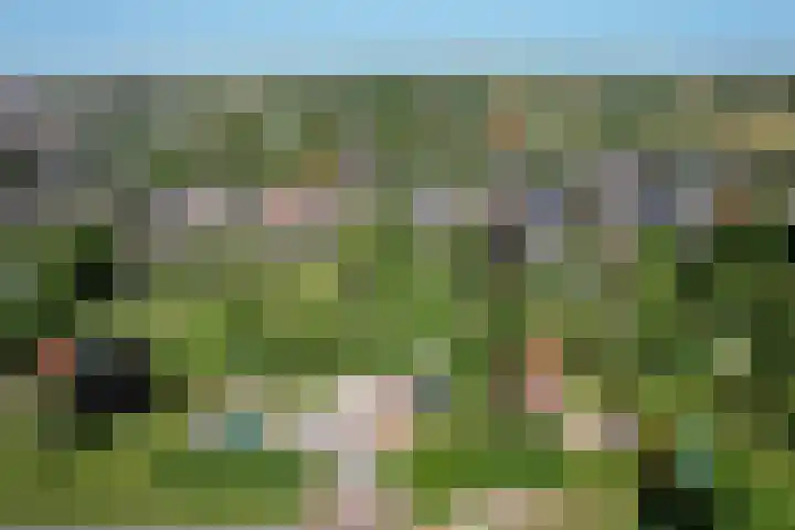 Achterhoven 20 Zutphen thumbnail 75