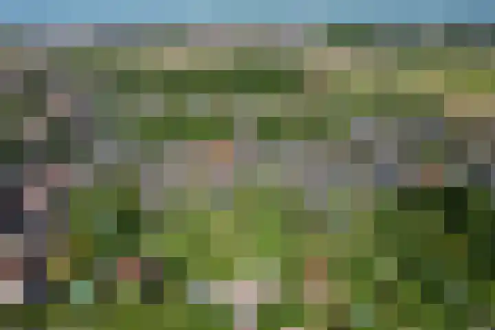 Achterhoven 20 Zutphen thumbnail 77