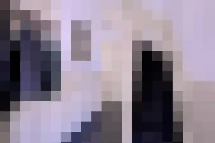 Achterhoven 20 Zutphen thumbnail 9