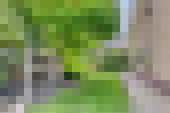 Achterkamp 14 Wezep thumbnail 12