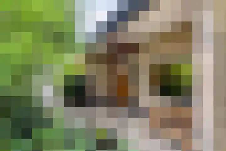 Achterkamp 14 Wezep thumbnail 13