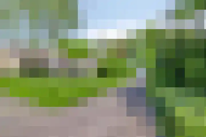 Achterkamp 14 Wezep thumbnail 16