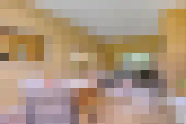 Achterkamp 14 Wezep thumbnail 19