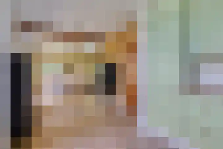 Achterkamp 14 Wezep thumbnail 26