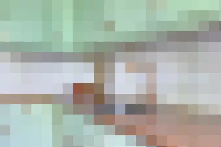 Achterkamp 14 Wezep thumbnail 28