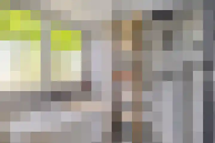 Achterkamp 14 Wezep thumbnail 36