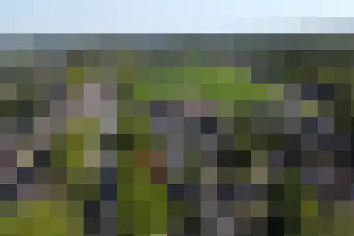 Achterkamp 14 Wezep thumbnail 42