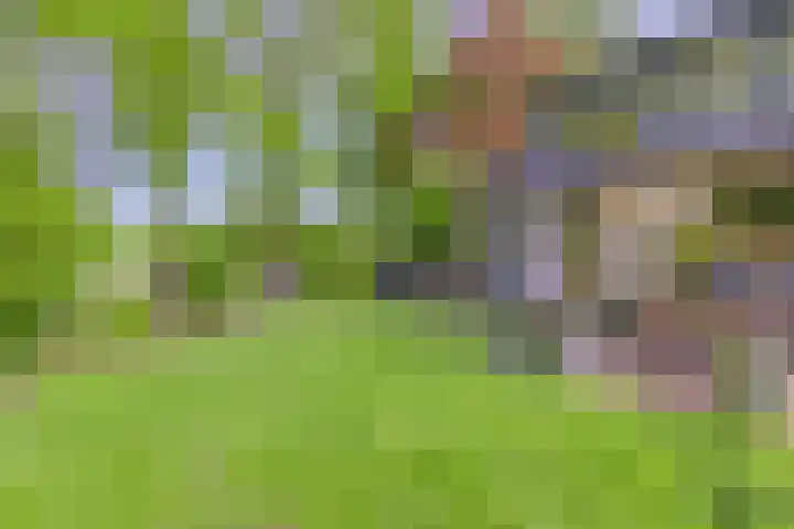 Achterkamp 14 Wezep thumbnail 8