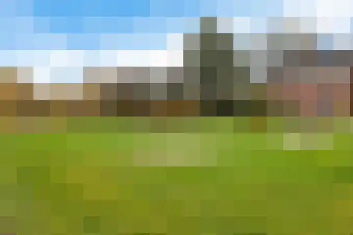 Achterkamp 47 Schoonebeek thumbnail 11