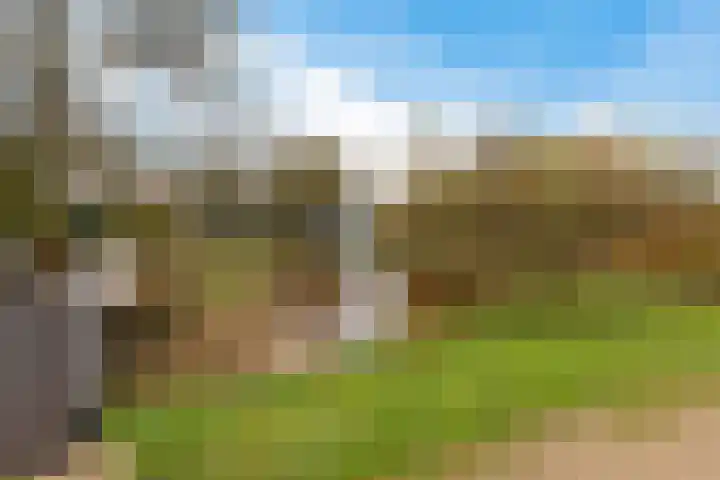 Achterkamp 47 Schoonebeek thumbnail 12