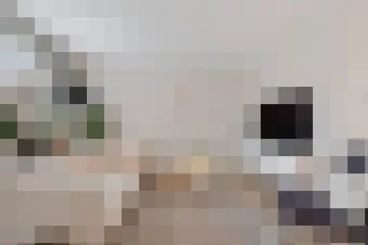 Achterkamp 47 Schoonebeek thumbnail 14