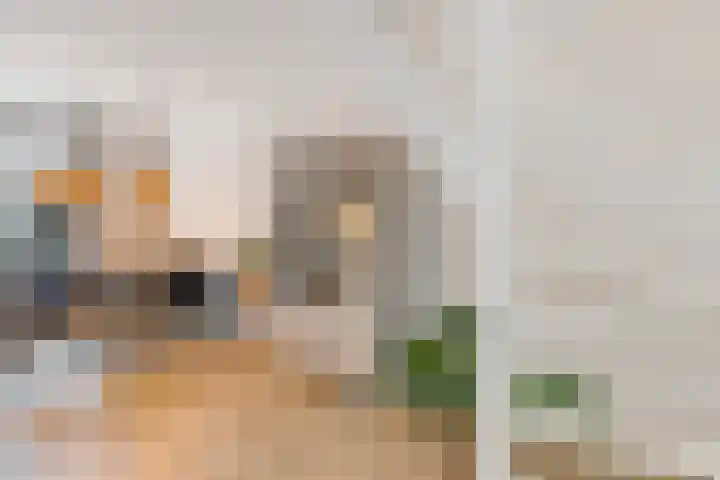 Achterkamp 47 Schoonebeek thumbnail 17