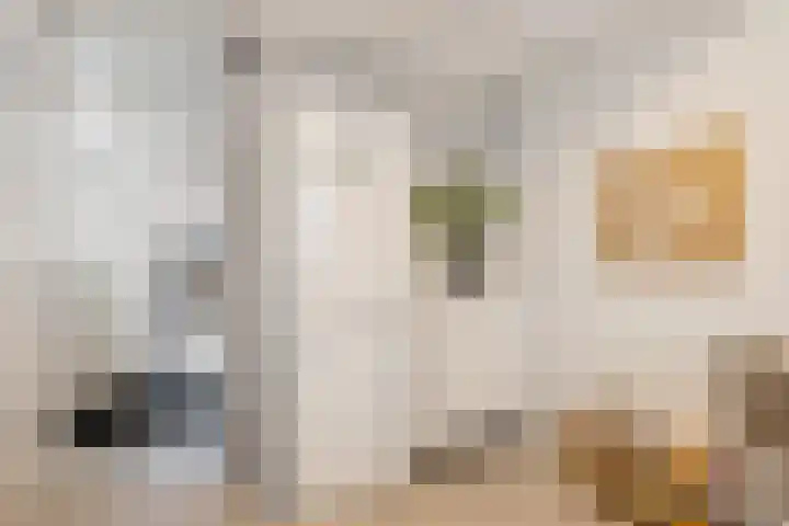 Achterkamp 47 Schoonebeek thumbnail 25