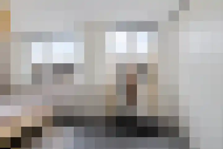 Achterkamp 47 Schoonebeek thumbnail 30
