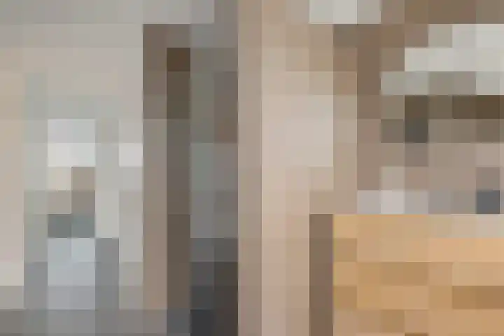 Achterkamp 47 Schoonebeek thumbnail 37