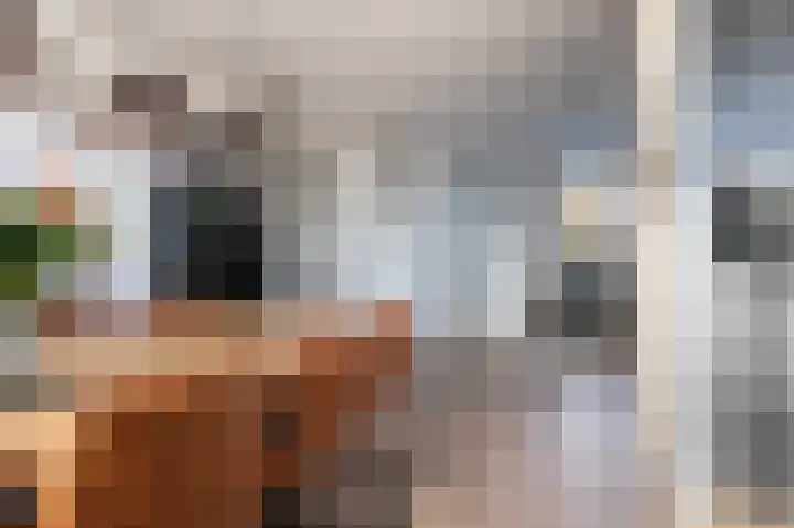 Achterkamp 51 Schoonebeek thumbnail 20