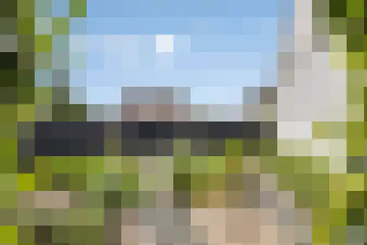 Achterkamp 51 Schoonebeek thumbnail 35