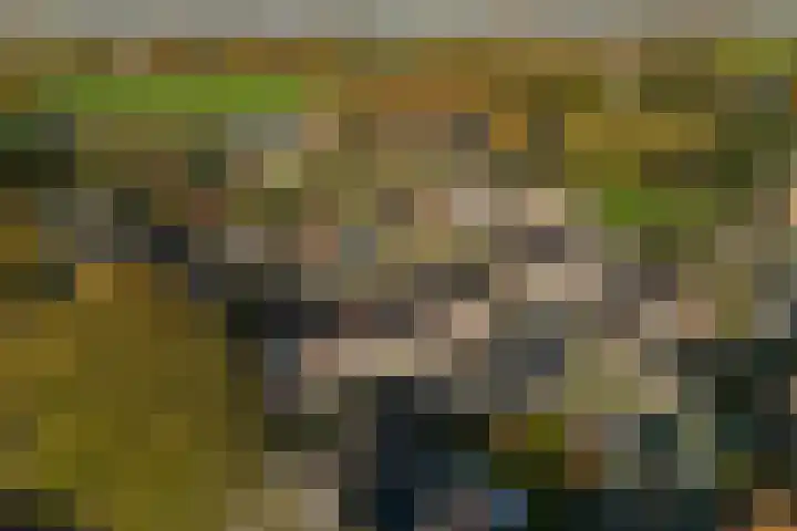 Achterkamp 51 Schoonebeek thumbnail 8