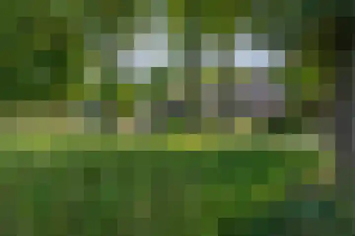 Achterkampweg 16 Lemelerveld thumbnail 5