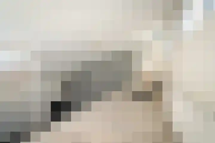 Achterkerspel 40 Gendringen thumbnail 16