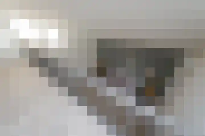 Achterkerspel 40 Gendringen thumbnail 19