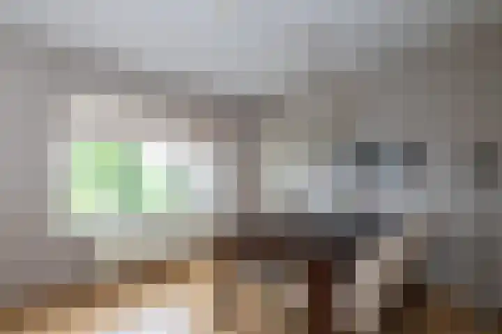 Achterland 15 a Groot-Ammers thumbnail 16