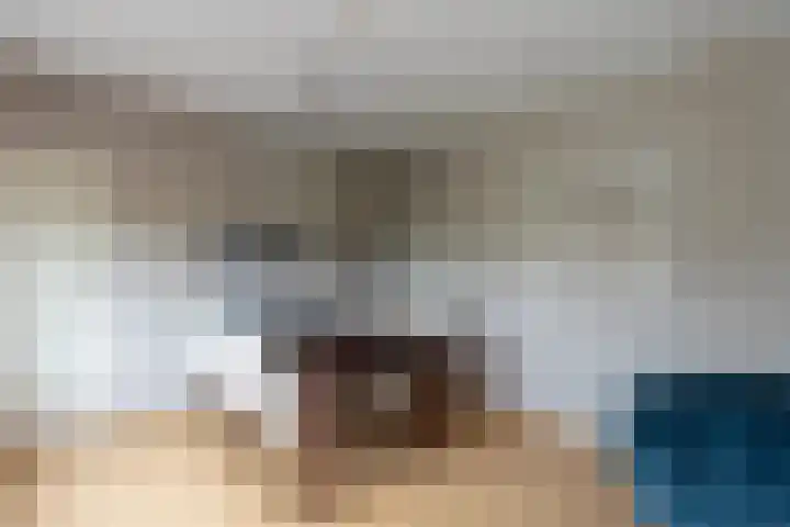 Achterland 15 a Groot-Ammers thumbnail 17