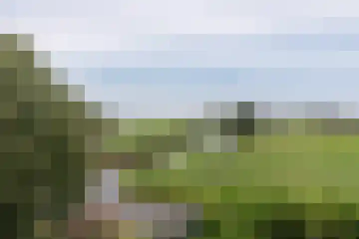 Achterland 15 a Groot-Ammers thumbnail 27