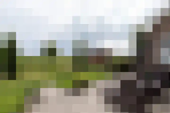Achterland 15 a Groot-Ammers thumbnail 31