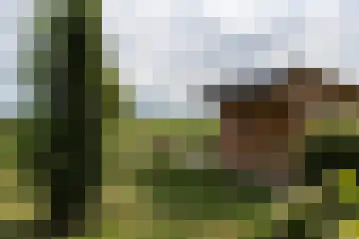 Achterland 15 a Groot-Ammers thumbnail 32