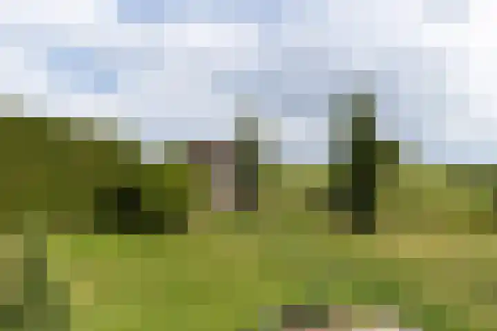 Achterland 15 a Groot-Ammers thumbnail 35
