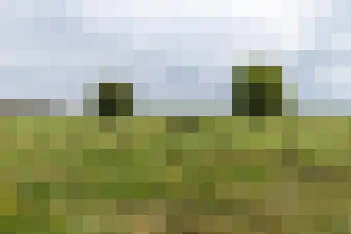 Achterland 15 a Groot-Ammers thumbnail 38