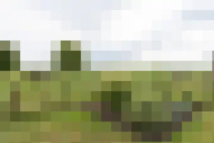 Achterland 15 a Groot-Ammers thumbnail 39