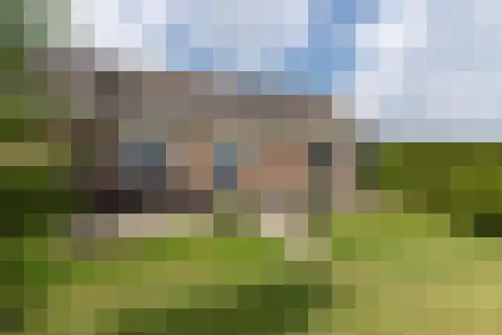 Achterland 15 a Groot-Ammers thumbnail 41