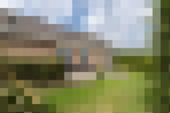 Achterland 15 a Groot-Ammers thumbnail 42