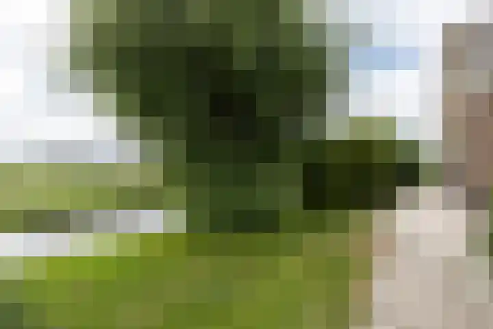 Achterland 15 a Groot-Ammers thumbnail 43