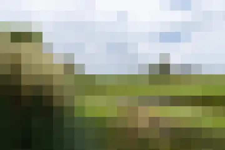 Achterland 15 a Groot-Ammers thumbnail 45