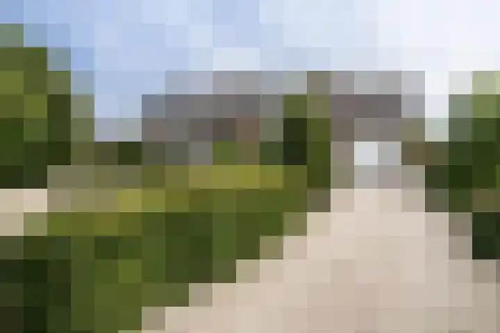 Achterland 15 a Groot-Ammers thumbnail 48