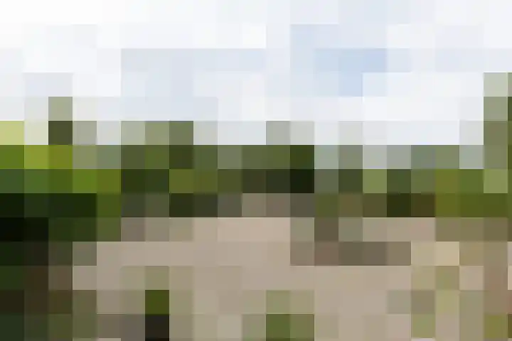 Achterland 15 a Groot-Ammers thumbnail 49