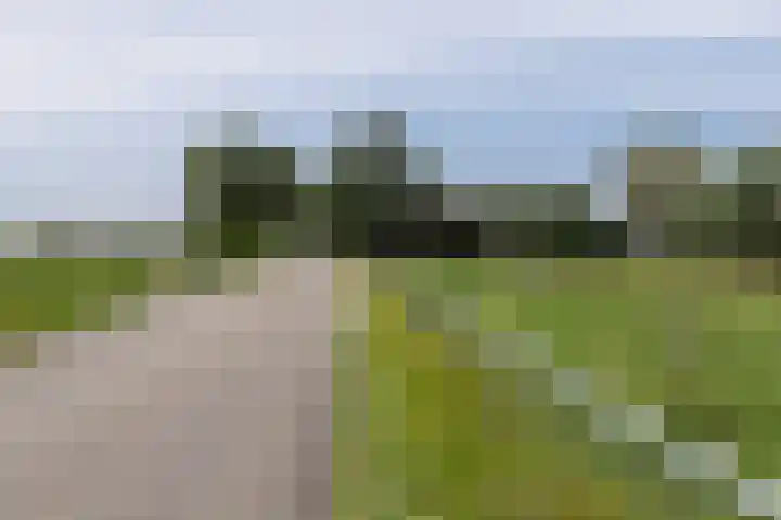 Achterland 15 a Groot-Ammers thumbnail 53